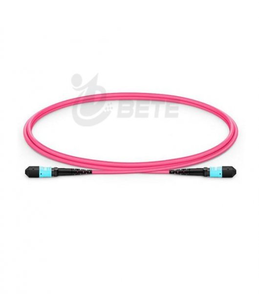 1m (3ft) MTP Female 12 Fibers Type B Plenum (OFNP) OM4 50/125 Multimode Elite Trunk Cable, Magenta